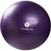 Sveltus Gymball 75 cm Adult Unisex, Mauve view 1