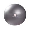Sveltus Gymball 65 cm Adult Unisex, Grey view 1