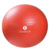 Sveltus Gymball 55 cm Adult Unisex, Orange view 1
