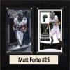 C&I Collectables NCAA Tulane Green Wave Men's Matt Forte Two Card Plaque, Brown, 6"X8" view 1