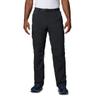 Columbia Men's Silver Ridge Cargo Pant, Black, 36W x 36L view 1
