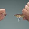 Daiichi Seiko AL21 Blue Line Tightening Fishing Ring view 3