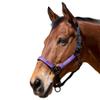 Kensington Premium Halter with Padded Nose Stronger Than Leather Padded Nose Piece Adds Comfort and Control Throat Snap for Identical Fit - Medium, Black w/Lavender Mint view 1