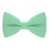 Bow Tie House Babies Classic Pre-Tied Bow Tie Formal Solid Tuxedo (Small, Green Mint) view 1