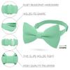Bow Tie House Babies Classic Pre-Tied Bow Tie Formal Solid Tuxedo (Small, Green Mint) view 2
