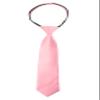 Spring Notion Boys' Pre-tied Satin Zipper Necktie - Adjustable Ties for Kids, Small with gift box, Dusty Rose view 1