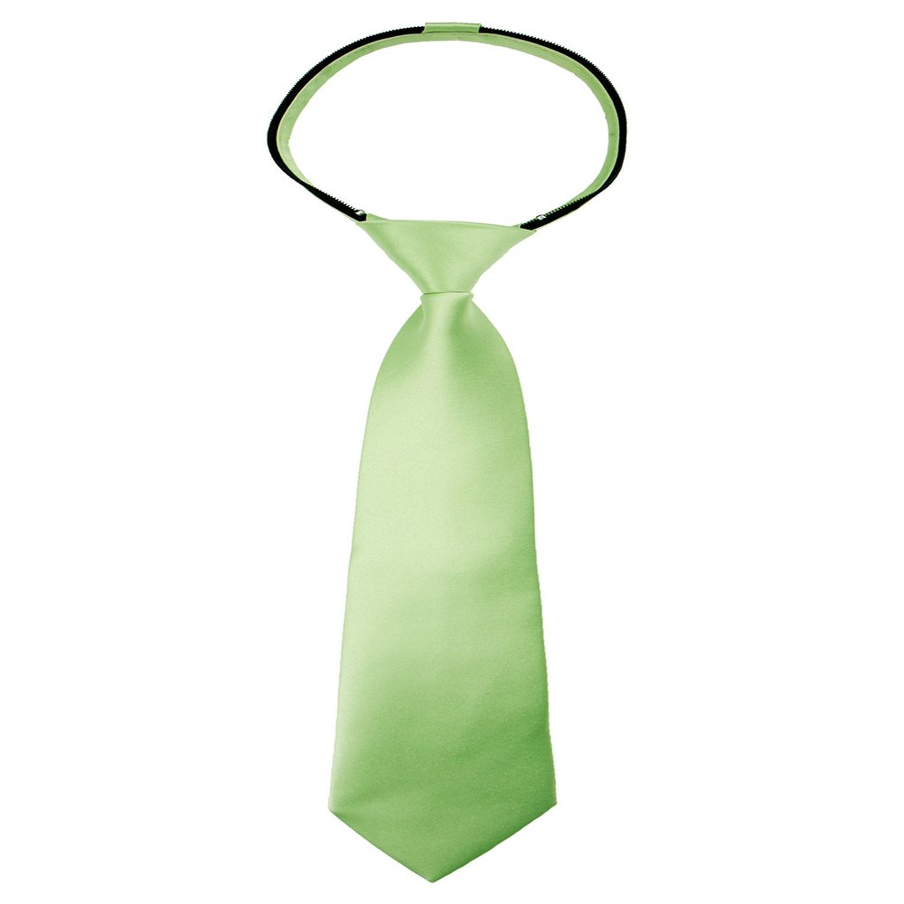 Spring Notion Boys' Pre-tied Satin Zipper Necktie - Adjustable Ties for Kids, Small with gift box, Sage