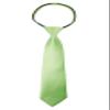 Spring Notion Boys' Pre-tied Satin Zipper Necktie - Adjustable Ties for Kids, Small with gift box, Sage view 1