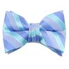 Spring Notion Boys' Pre-tied Woven Bow Tie Medium Aqua Stripes view 1