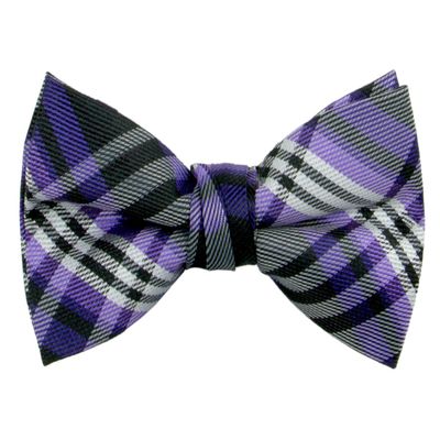 Spring Notion Boys' Pre-tied Woven Bow Tie Small Plaid Purple
