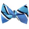Spring Notion Boys' Pre-tied Woven Bow Tie Medium Turquoise Stripes view 1