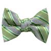 Spring Notion Boys' Pre-tied Woven Bow Tie Medium Pastel Green Stripes view 1