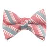 Spring Notion Boys' Pre-tied Woven Bow Tie Large Light Pink Stripes view 1