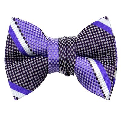 Spring Notion Boys' Pre-tied Woven Bow Tie Small Purple Stripes