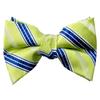 Spring Notion Boys' Pre-tied Woven Bow Tie X-Large Lime Blue Stripes view 1