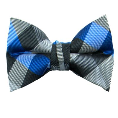 Spring Notion Boys' Pre-tied Woven Bow Tie X-Large Checkered Blue