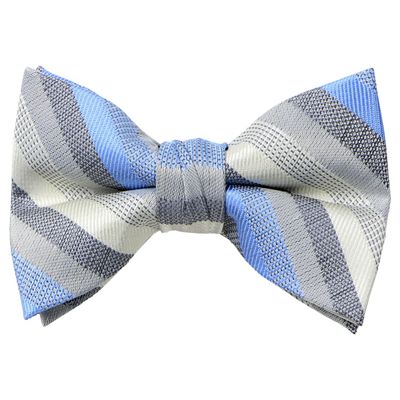 Spring Notion Boys' Pre-tied Woven Bow Tie Small Blue Ivory Stripes
