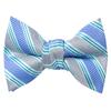 Spring Notion Boys' Pre-tied Woven Bow Tie Small Light Blue Stripes view 1