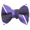Spring Notion Boys' Pre-tied Woven Bow Tie X-Large Purple Stripes view 1