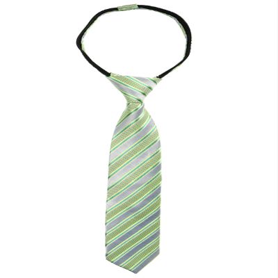 Spring Notion Boys' Pre-tied Woven Zipper Tie Medium Pastel Green Stripes