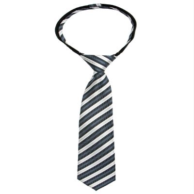 Spring Notion Boys' Pre-tied Woven Zipper Tie X-Large Grey Stripes