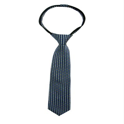 Spring Notion Boys' Pre-tied Woven Zipper Tie Medium Royal Blue Patterned