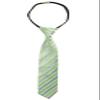 Spring Notion Boys' Pre-tied Woven Zipper Tie Large Pastel Green Stripes view 1