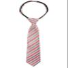 Spring Notion Boys' Pre-tied Woven Zipper Tie Large Light Pink Stripes view 1