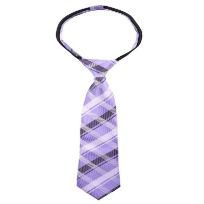 Spring Notion Boys' Pre-tied Woven Zipper Tie Large Lilac Plaid