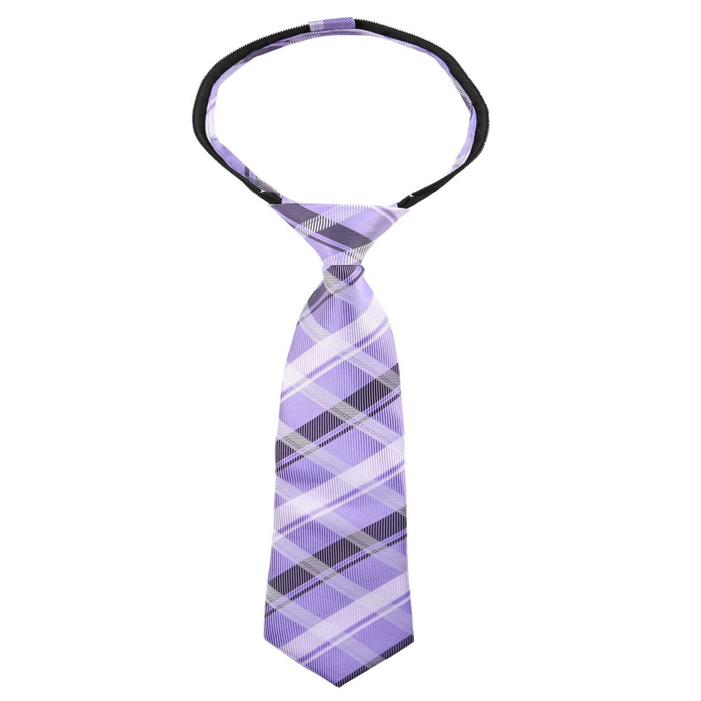 Spring Notion Boys' Pre-tied Woven Zipper Tie Large Lilac Plaid