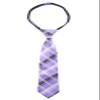 Spring Notion Boys' Pre-tied Woven Zipper Tie Large Lilac Plaid view 1