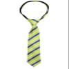Spring Notion Boys' Pre-tied Woven Zipper Tie Small Lime Blue Stripes view 1