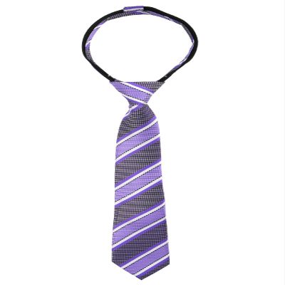 Spring Notion Boys' Pre-tied Woven Zipper Tie Small Purple Stripes