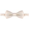 IBTOM CASTLE Kids Baby Y Back Adjustable Elastic Suspender Strong Clip-on Braces Bow Tie Set for Boys & Girls Multicolor Polka Dots One Size view 3