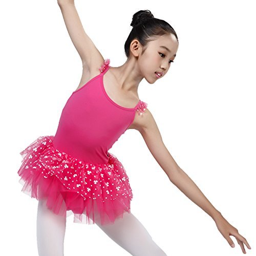 Baiw Dance 115242500 Girls Cute Tutu Ballet Tutu (Deep Pink, XL)