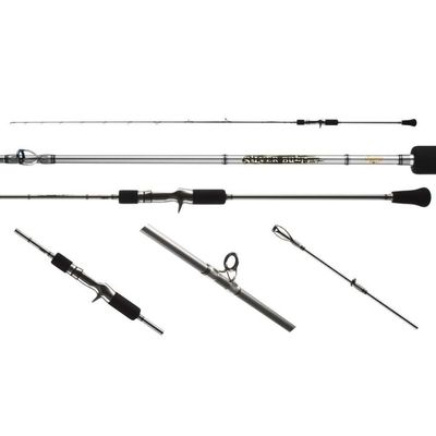 JIGGING WORLD Silver Bullet 100G Conventional (200)