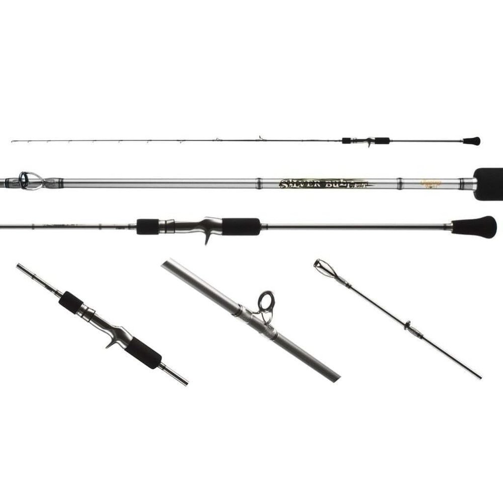 JIGGING WORLD Silver Bullet 100G Conventional (200)