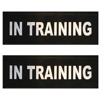 in Training - Training Patch for Service & Non-Service Dogs (LG - XLG)