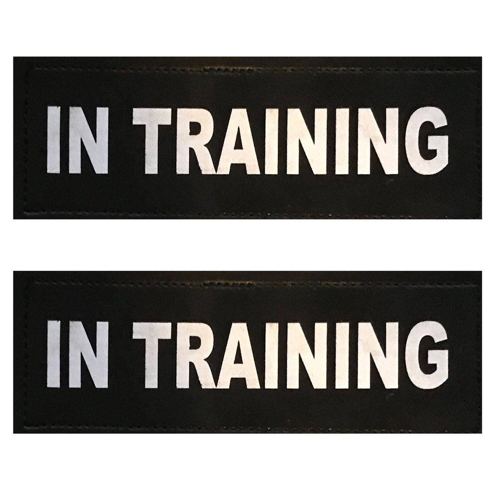 in Training - Training Patch for Service & Non-Service Dogs (LG - XLG)