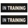 in Training - Training Patch for Service & Non-Service Dogs (LG - XLG) view 1