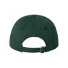 Go All Out One Size Dark Green Deluxe Dad Blessed Embroidered Deluxe Dad Hat view 2