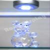 ROXYDISPLAY (SC-KDFLAT+SC-PYLED) Counter TOP Glass CASE with one Free LED Light, Standard Aluminum framing,with Front Lock view 3