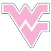 Craftique West Virginia Decal view 1