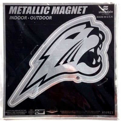 Wincraft Northern Iowa S16923 Metallic Magnets