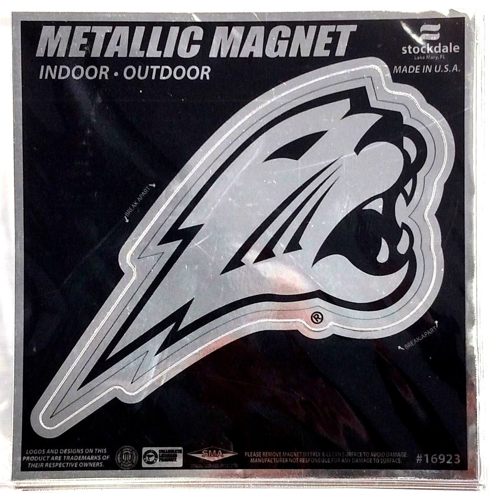 Wincraft Northern Iowa S16923 Metallic Magnets