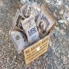 Western Frontier MRE 2019 Inspection Date Case, 12 Meals with 2019 Inspection Date, 2016 Pack Date. Military Surplus Meal Ready to Eat. (Random Case) view 3