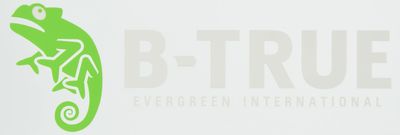 Evergreen B-True Boat Decal, Large, White