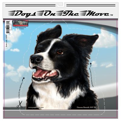 Border Collie - Pet Gifts Window Vinyl Decal, Dogs On The Move, Sticker Clings to Glass surfaces, Cars Trucks & SUVs, for Doggy Lovers!