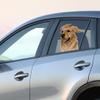 Border Collie - Pet Gifts Window Vinyl Decal, Dogs On The Move, Sticker Clings to Glass surfaces, Cars Trucks & SUVs, for Doggy Lovers! view 3