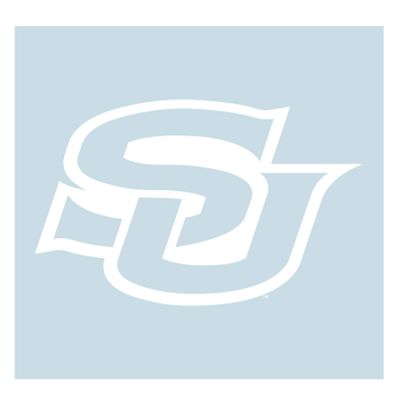 Craftique Southern Decal